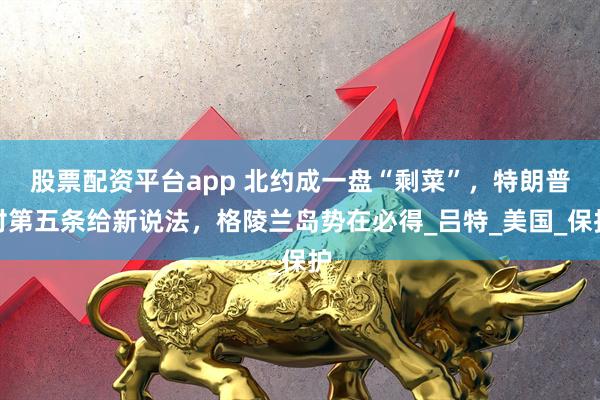 股票配资平台app 北约成一盘“剩菜”，特朗普对第五条给新说法，格陵兰岛势在必得_吕特_美国_保护